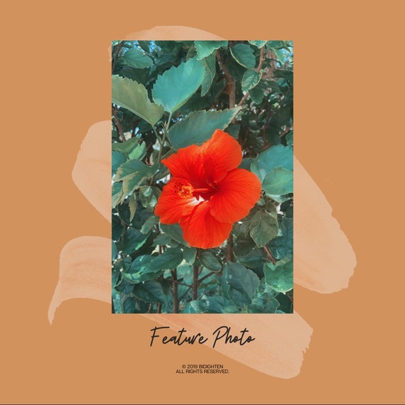 𝕙 𝕖 𝕝 𝕝 𝕠.・゜゜・ - Picture 4 of 14